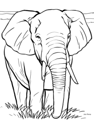 Disegno di elefante da stampare e colorare 123