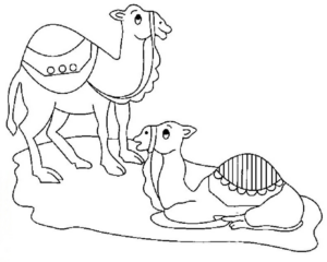 Disegno di dromedario da stampare e colorare 2