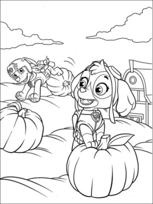 Disegno di Paw Patrol – Cane pompiere da stampare e colorare 30 Disegno di Paw Patrol – Cane pompiere da stampare e colorare 30