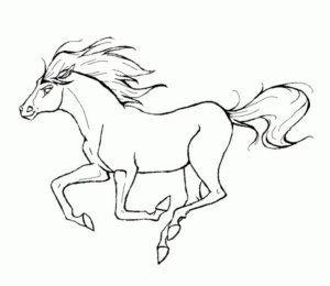 Disegno di cavallo da stampare e colorare 172