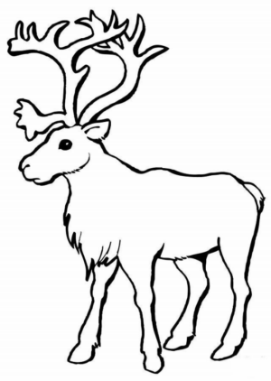 Disegno di cervo da stampare e colorare 51