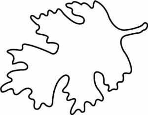 Disegno di foglia da stampare e colorare 30
