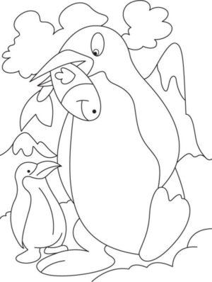 Disegno di pinguino da stampare e colorare 70