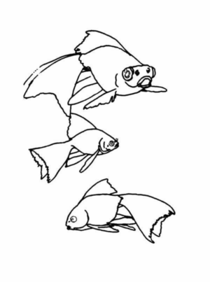Disegno di pesce da stampare e colorare 326