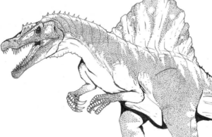 Disegno di Spinosauro da stampare e colorare 13