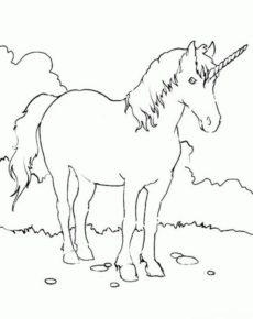 Disegno di unicorno da stampare e colorare 10