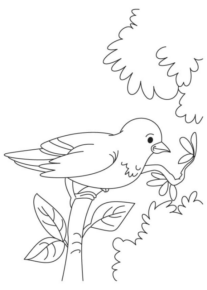 Disegno di passero da stampare e colorare 89