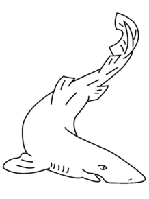 Disegno di squalo da stampare e colorare 57
