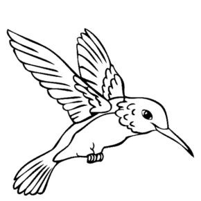 Disegno di colibr da stampare e colorare 1