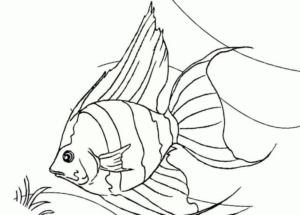 Disegno di pesce da stampare e colorare 302