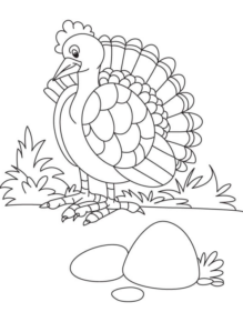 Disegno di tacchino da stampare e colorare 58