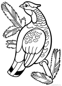 Disegno di uccello da stampare e colorare 3