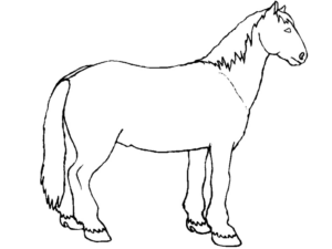 Disegno di cavallo da stampare e colorare 70