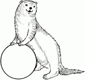 Disegno di lontra da stampare e colorare 22