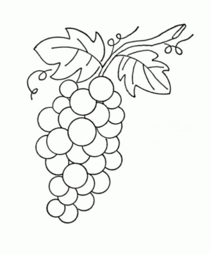 Disegno di uva da stampare e colorare 29