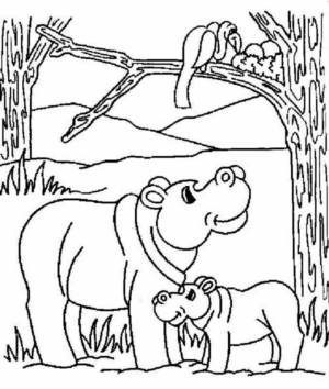 Disegno di ippopotamo da stampare e colorare 43