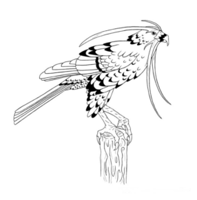 Disegno di uccello da stampare e colorare 34