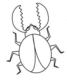Disegno di coleottero da stampare e colorare 6