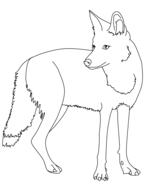 Disegno di lupo da stampare e colorare 23