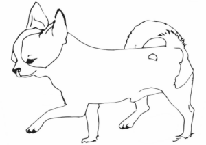 Disegno di volpe da stampare e colorare 111