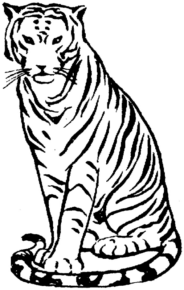 Disegno di tigre da stampare e colorare 1