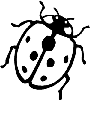Disegno di coccinella da stampare e colorare 47