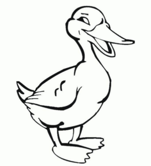 Disegno di papera da stampare e colorare 121
