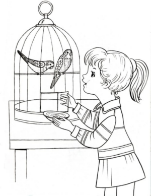 Disegno di pappagallo da stampare e colorare 66
