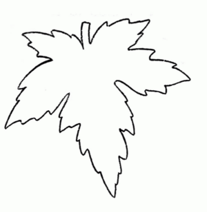 Disegno di foglia da stampare e colorare 157