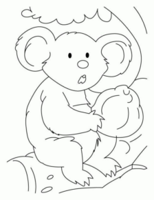 Disegno di koala da stampare e colorare 28