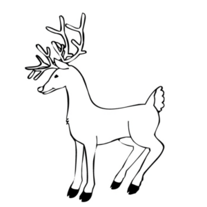 Disegno di cervo da stampare e colorare 19