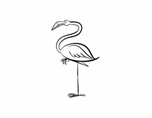 Disegno di fenicottero da stampare e colorare 5