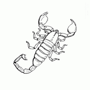 Disegno di scorpione da stampare e colorare 4