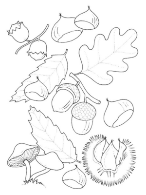 Disegno di foglia da stampare e colorare 134