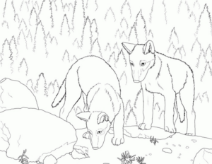 Disegno di lupo da stampare e colorare 4