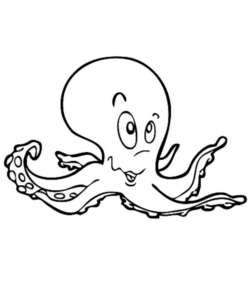 Disegno di polpo da stampare e colorare 22