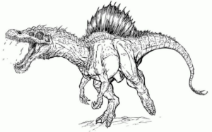 Disegno di Velociraptor da stampare e colorare 23