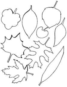 Disegno di foglia da stampare e colorare 6