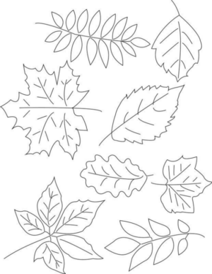 Disegno di foglia da stampare e colorare 9