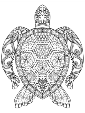 Disegno di mandala da stampare e colorare 1779