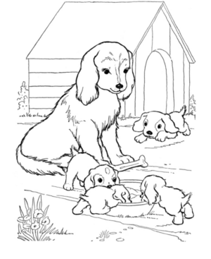 Disegno di cane da stampare e colorare 19