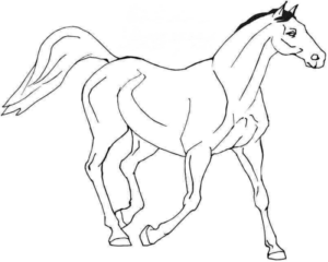 Disegno di cavallo da stampare e colorare 189