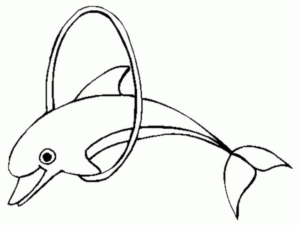 Disegno di delfino da stampare e colorare 66