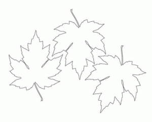 Disegno di foglia da stampare e colorare 200