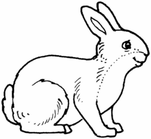 Disegno di coniglio da stampare e colorare 41