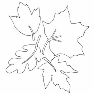 Disegno di foglia da stampare e colorare 39