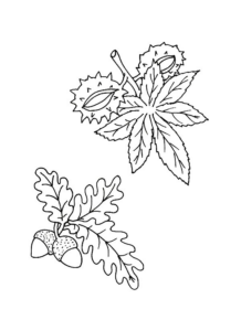 Disegno di foglia da stampare e colorare 130