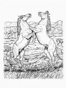 Disegno di cavallo da stampare e colorare 236