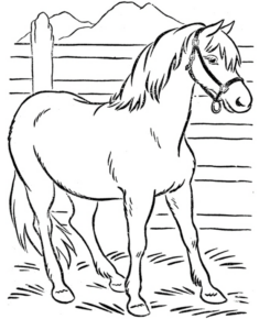 Disegno di cavallo da stampare e colorare 163