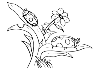 Disegno di coccinella da stampare e colorare 25